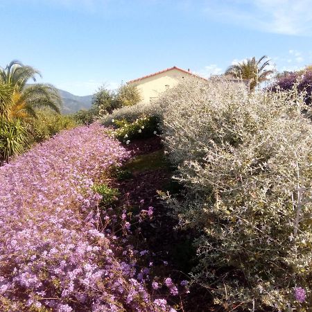 Appartamento Taggiasca A Riva Trigoso سيستري ليفانتي المظهر الخارجي الصورة